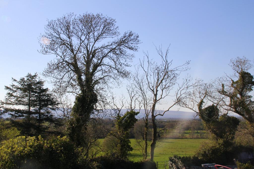 Woodview House Bed And Breakfast Ballinrobe Buitenkant foto