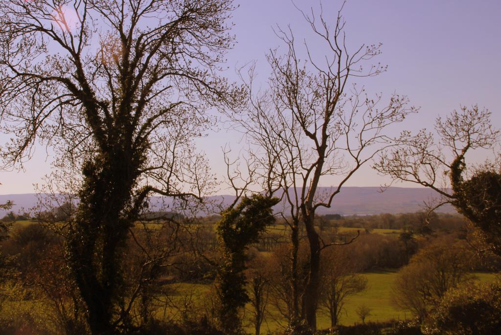 Woodview House Bed And Breakfast Ballinrobe Buitenkant foto